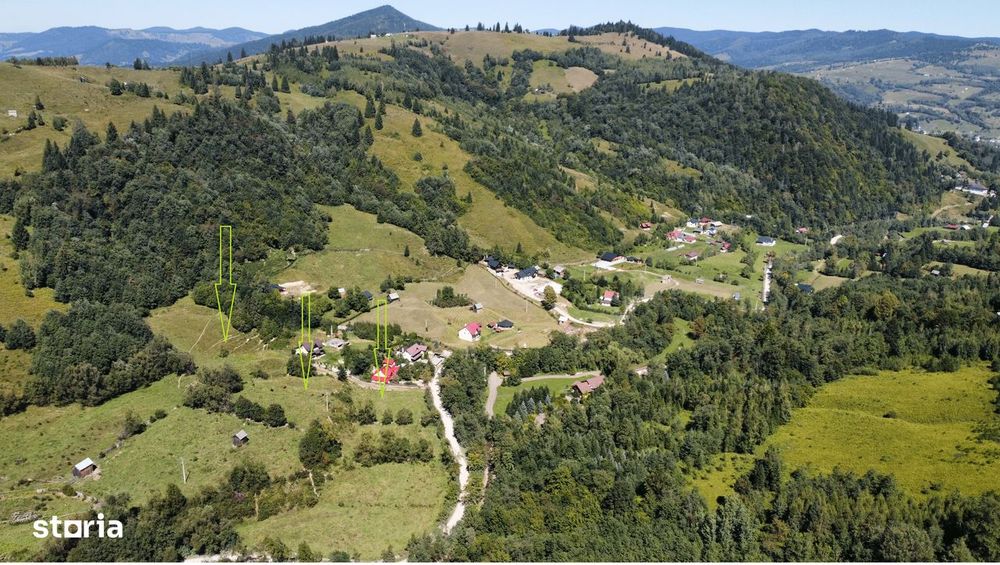 Vindem 17940 mp Salatruc - Vama - Bucovina