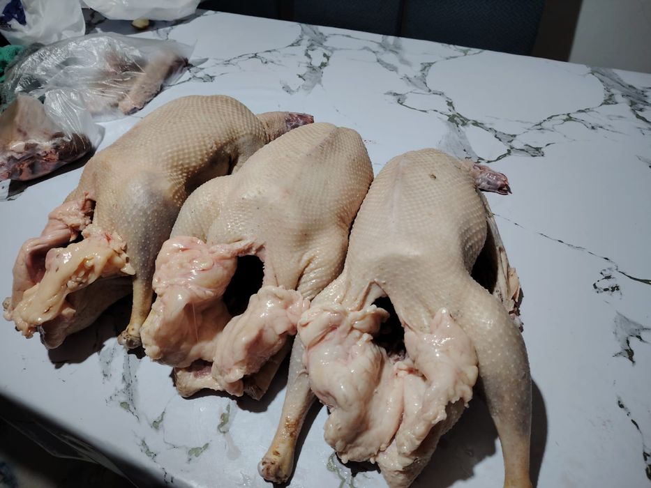 Домашний гусь на продажу!