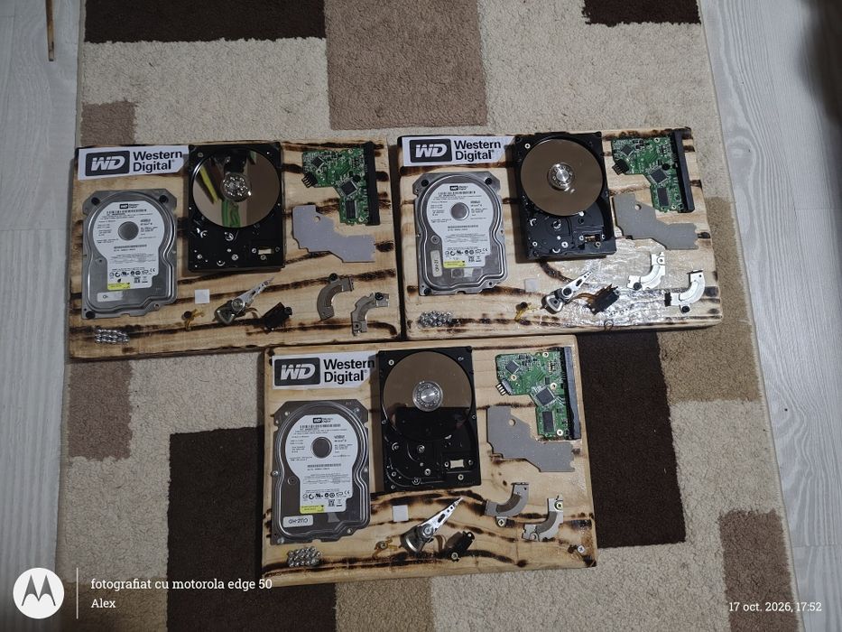 Tablou Decorativ Tech / Handmade – Hard Disk Dezasamblat Western Digital (Design Industrial / Geek Art)