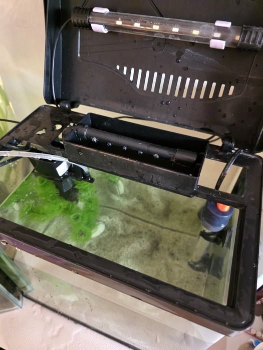 Acvariu 10 l cu toate accesoriile