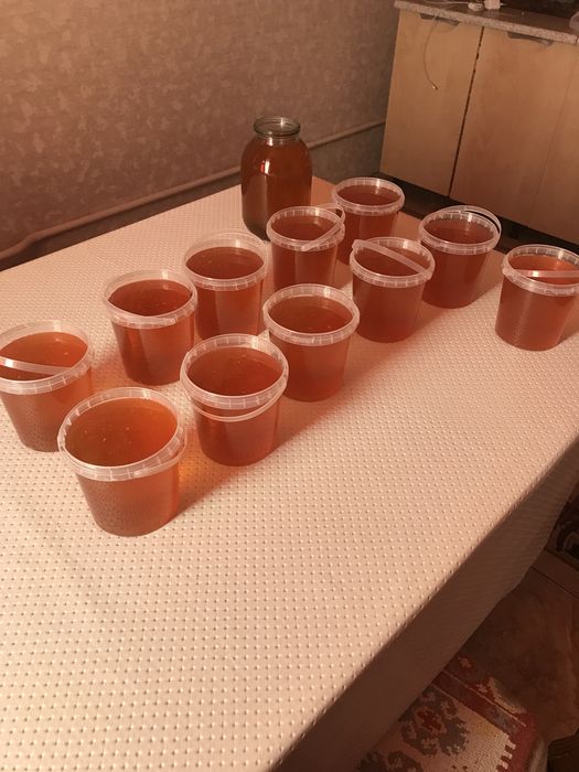 Свежий горный мёд