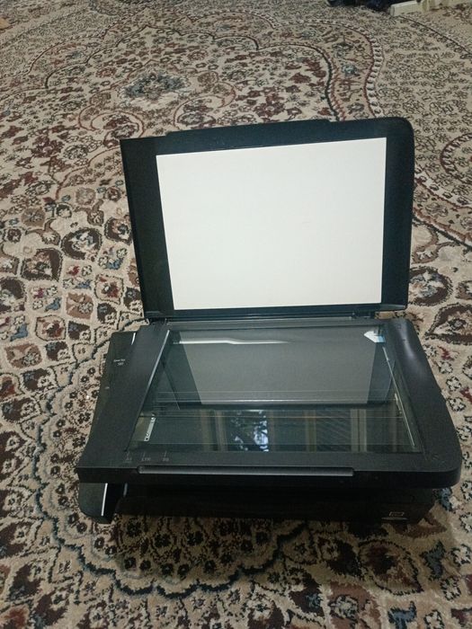 Printer :   Epson Stylus SX115