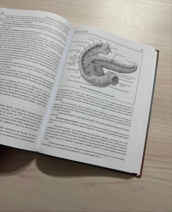 Anatomia si fiziologia omului compendiu
