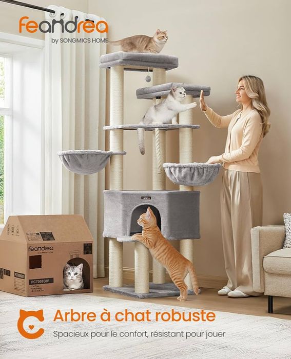 Голямо котешко дърво Мейн Куун Feandrea