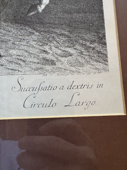 Литография на Йохан Елиас Ридингер - The Trot /Галоп