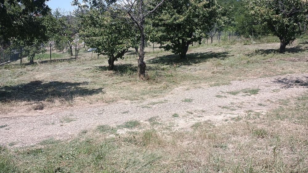 Teren intravilan Chicerea 3000mp