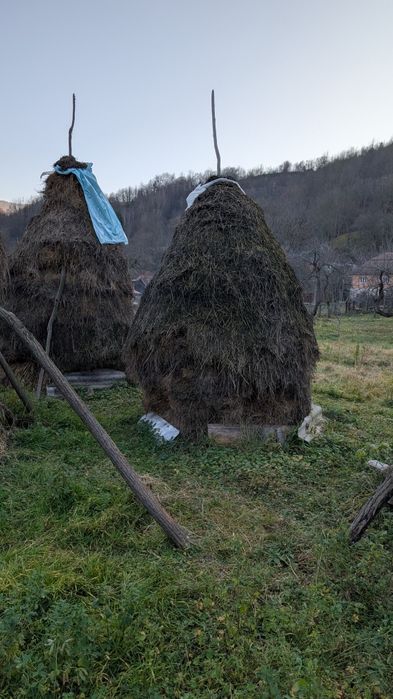 Lucerna de vânzare fan