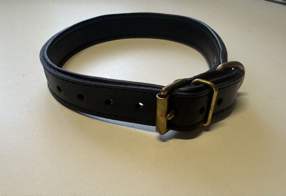 Set Zgardă + Lesă Piele