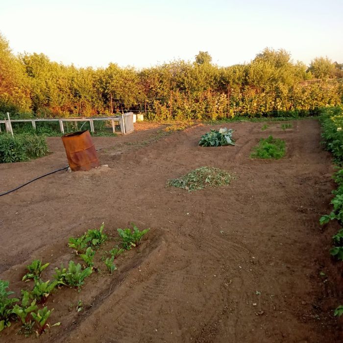 Продам дачу на союзе