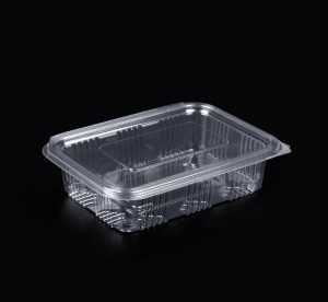 Caserole neperforate cu capac