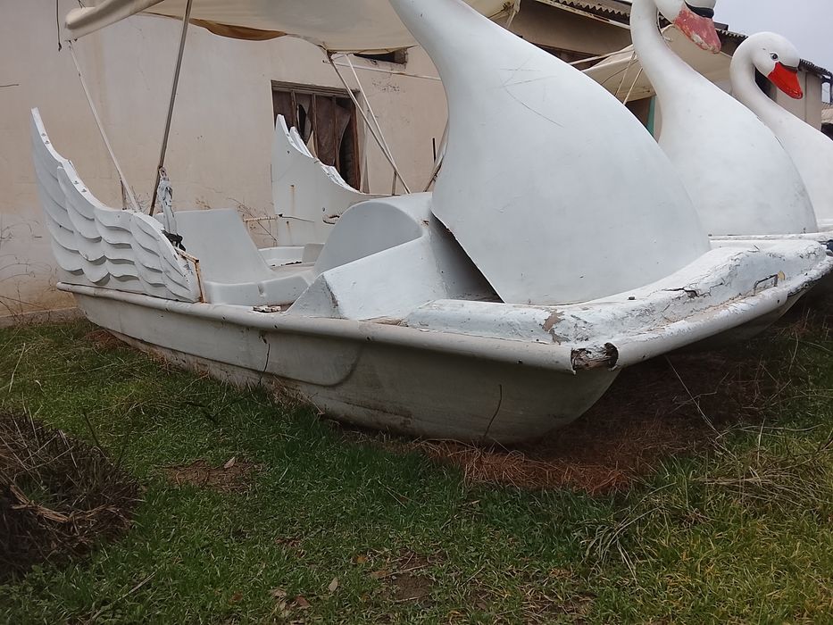 Катамаран соккани боладиган транспорт