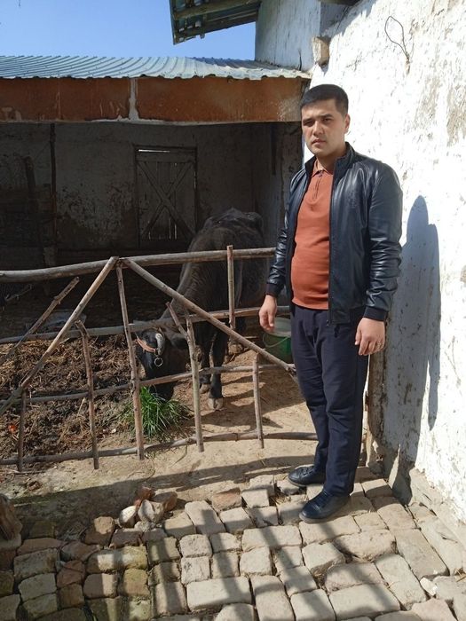 Mollar sotiladi kelishilgan narxlarda