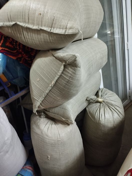 Опилки сухие продаются