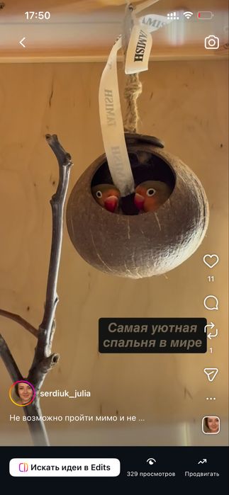 Домики гнезда для птиц