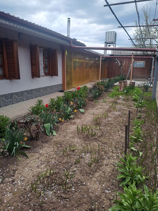 Vând casă plus teren