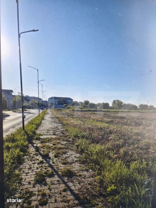 Teren intravilan 2.500 mp, ultracentral Titu, ideal investitie sau par