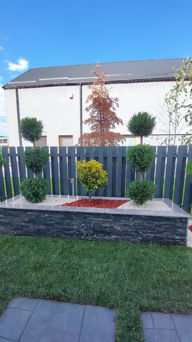 Gazon rulou ,plante ornamentale, amenajări grădini