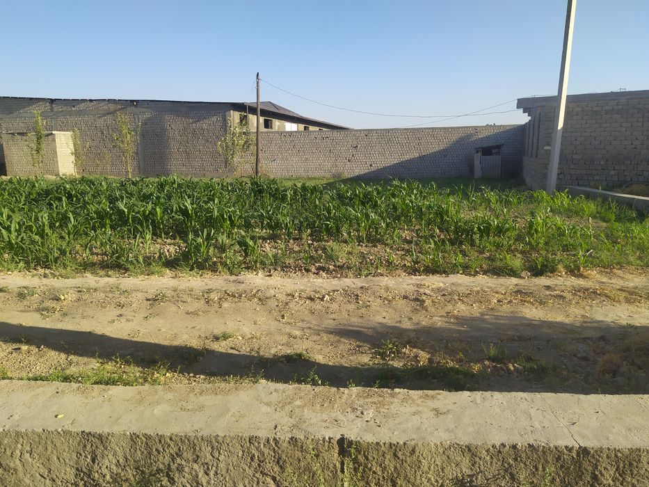 Uy sotiladi 11 sotix