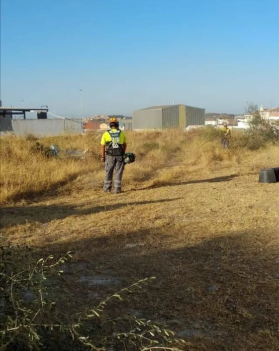 Tocător de inchiriat