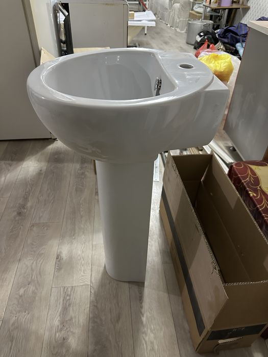 Раковина тюльпан