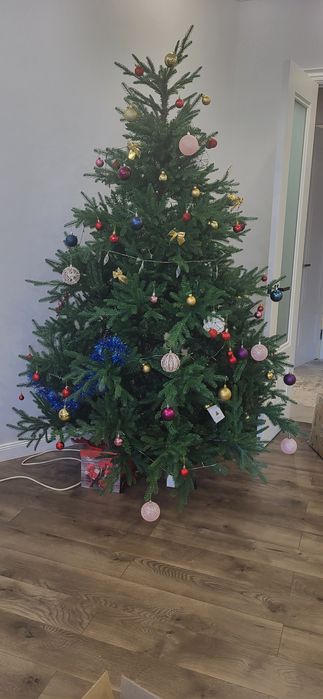 Ёлка новая 80000