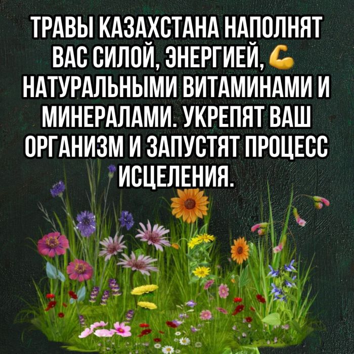 Бальзамы Короткова