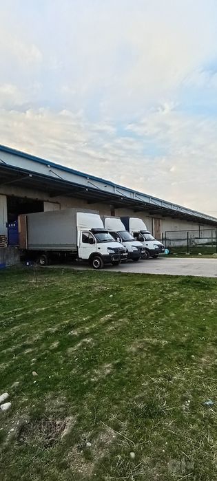 Грузоперевозки Газел бостонлик Газалкент