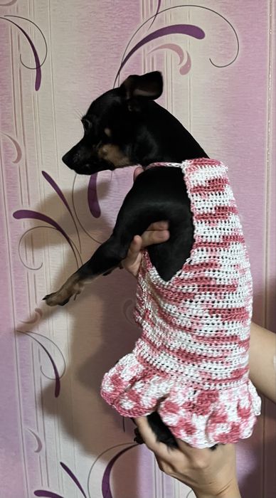 Шапка для собаки, вязанное платье