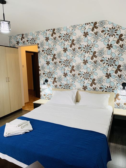 Cazare Baile Herculane Casa Neamtu 3 *