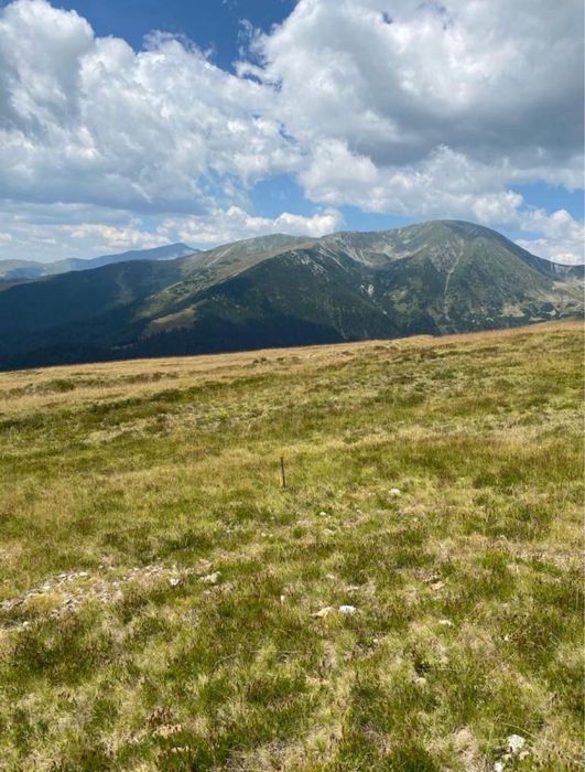 Vand teren ranca
