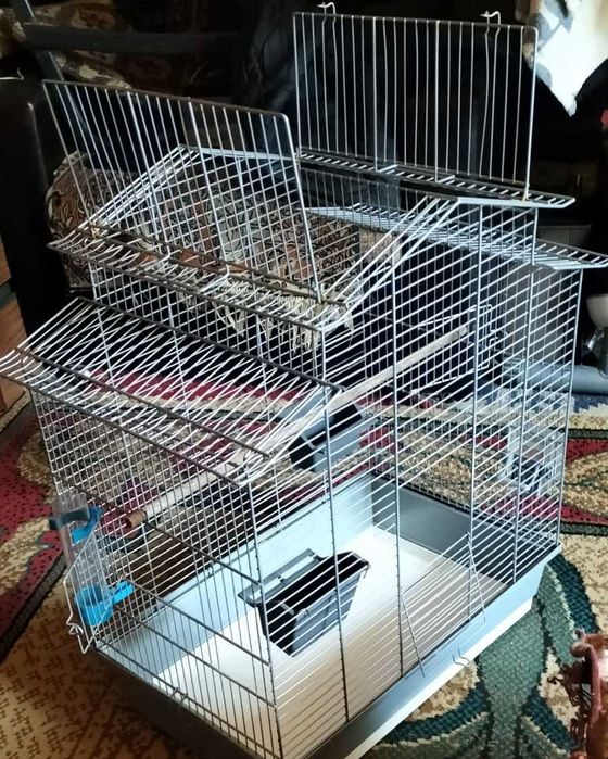 Colivie pentru canari, peruși sau specii mai mici de papagali