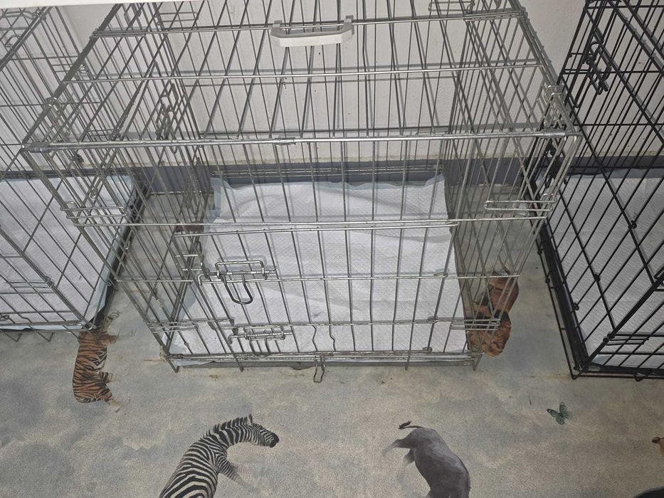 Custi/CuscaPlianta Pliabila  Pentru Caini Pisici Animale De Companie Pentru Cabinet Veterinar Sau Transport