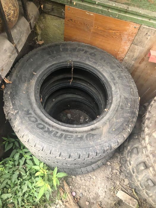 Продам ризину на делику
