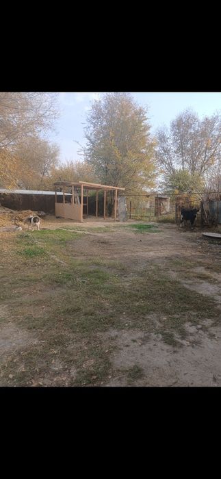 Срочно тогрг продам дом