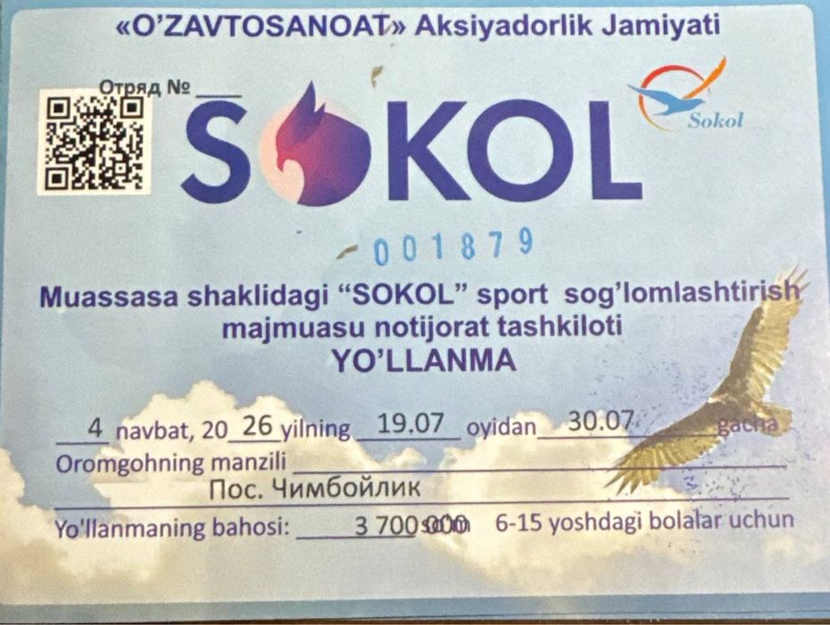 Путевка на лагарь сокол