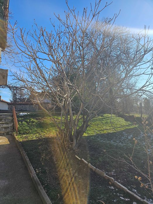 Продава се Къща в с. Челопеч, Област София-област - 145 кв.м за 704 €/кв.м - Снимка #11