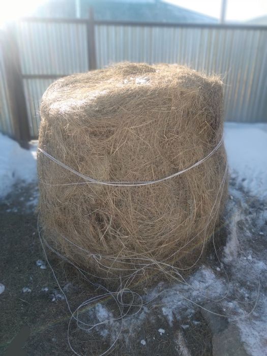 Сено рулон для скота