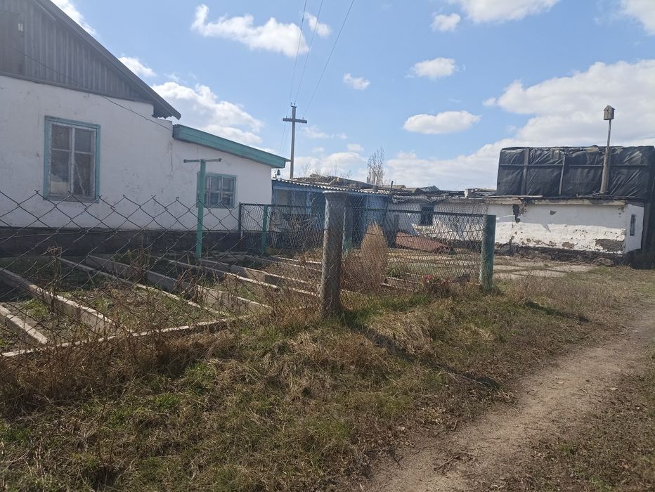 Подам дом и участок