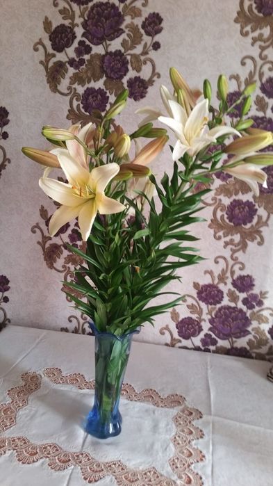 Продам дачу,,Тихая роща,,