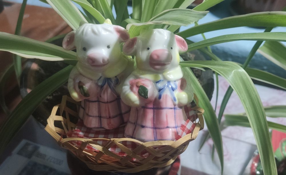 Набор для специй