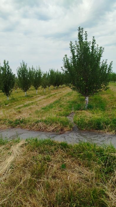 Продам земельный участок