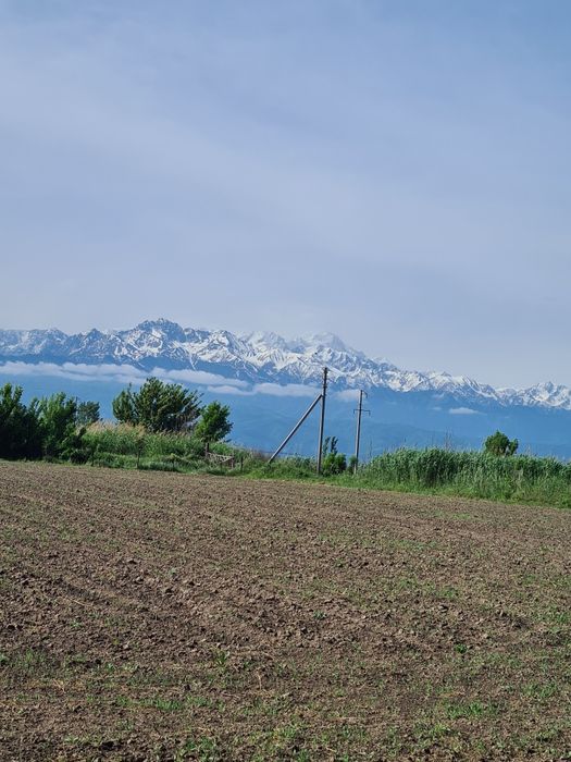 Земля! Продам 6,4 га земли.