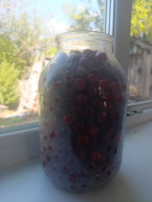 Свежая вкусная  вишня