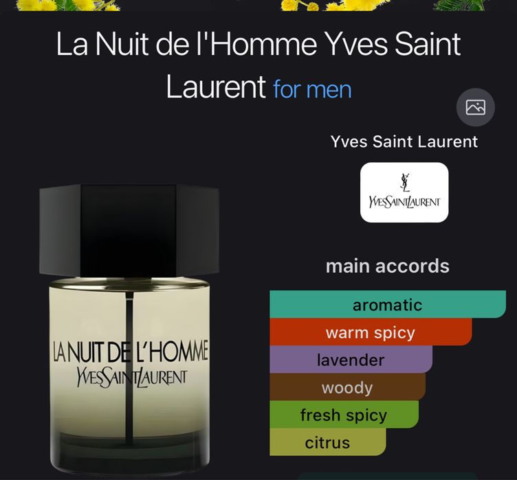 YSL La nuit de lhomme