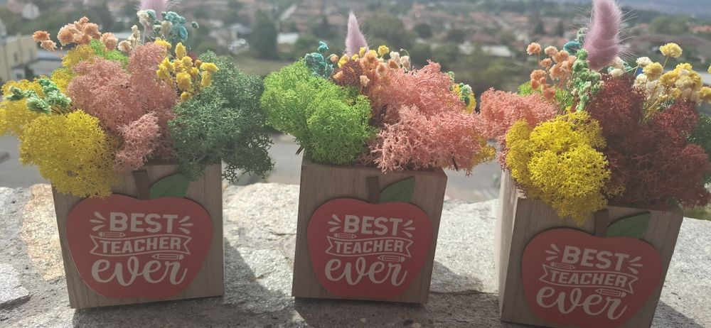 За най- добрия учител