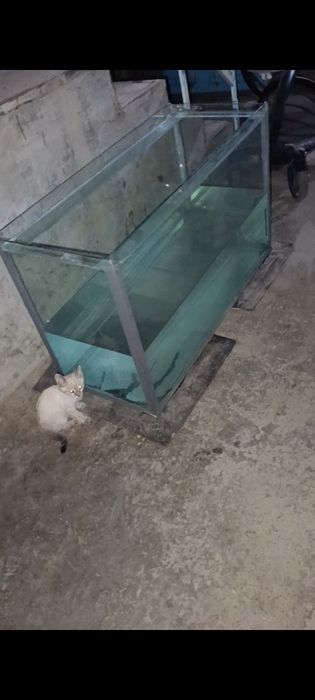 Продам срочно 200 лт Аквариум