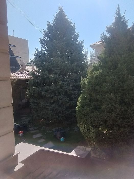посев газона   уход сада всё включено