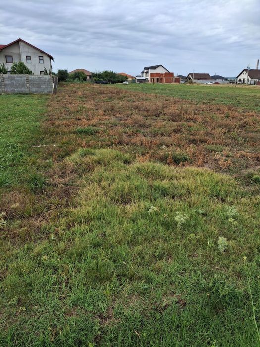 Vand teren 2000mp Str Arinului Santandrei