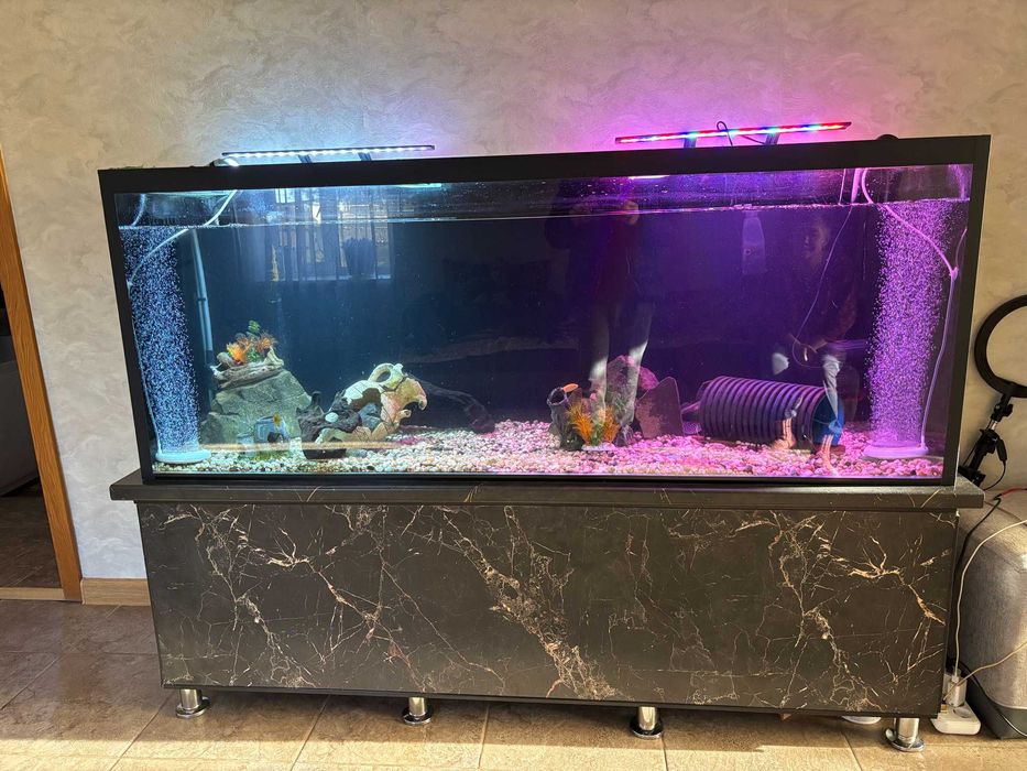 Аквариум с рыбами, можем продать рыб отдельно