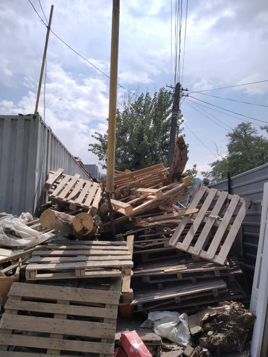 Отдам дрова Бесплатно